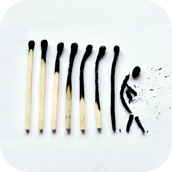 Key Features and Resources